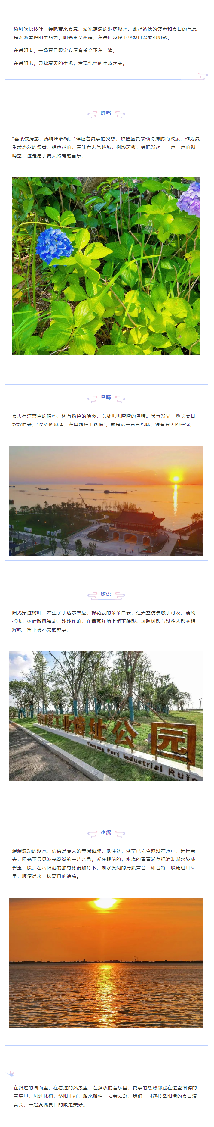 【夏日演奏會(huì)】在岳陽(yáng)港，聆聽夏天的聲音.png